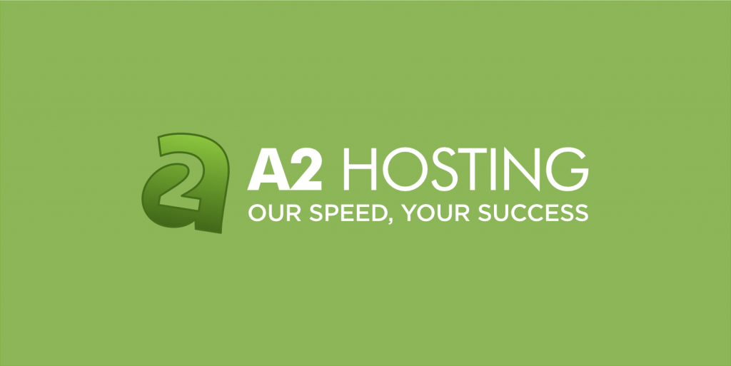 Best Hosting Service provider